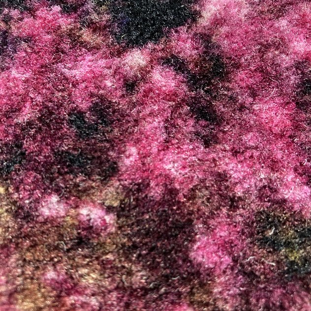 Congress-Domingo 1000